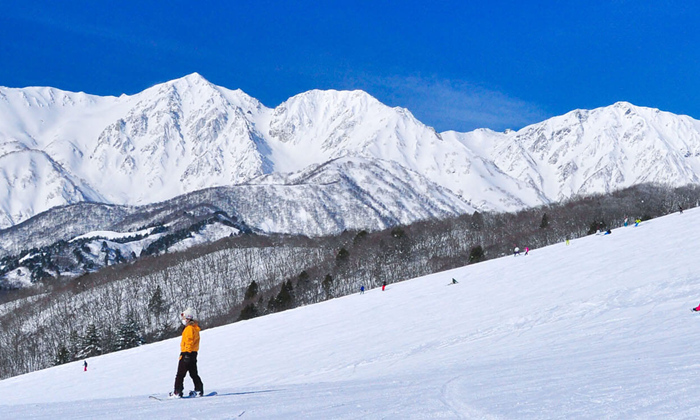 How To Get To Iwatake Hakuba Ski Resort From Tokyo, Haneda And Narita 