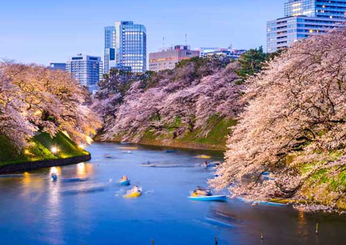 The Best Time to Visit Japan (Best/Worst Months and Seasons)