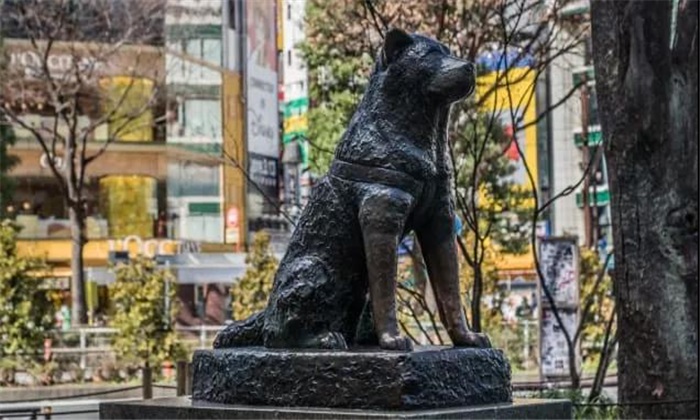 Hachiko Statue