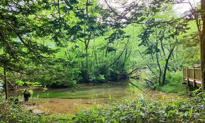 Kamikochi Tours