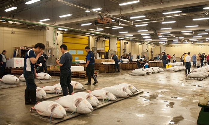 Tsukiji Fish Market