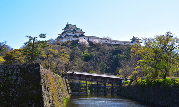 Wakayama Castle