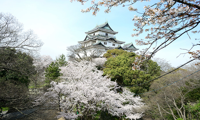 Wakayama Castle